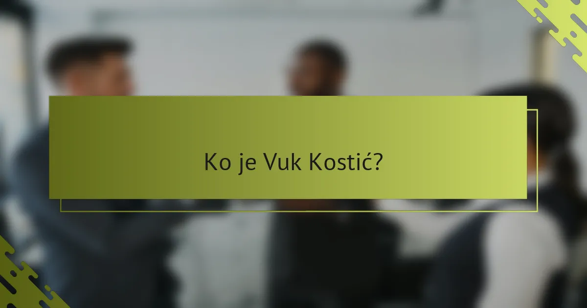 Ko je Vuk Kostić?